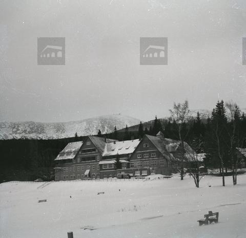 Hotel Orlinek