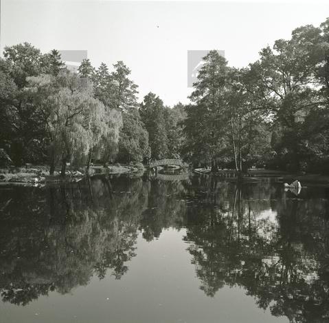 Original Obiekt cyfrowy not accessible