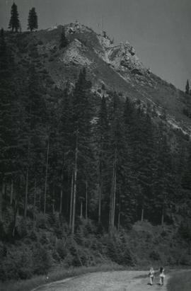 Tatry