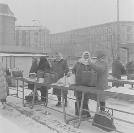 wrocławianie na targu