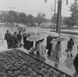 na przystanku tramwajowym