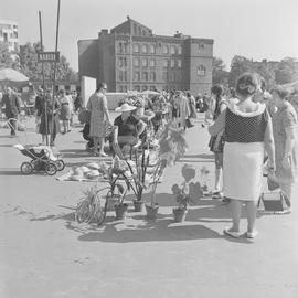 wrocławianie na targu