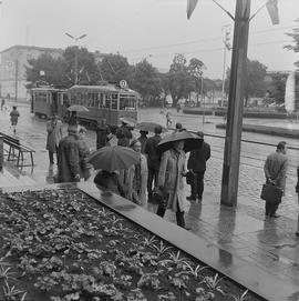na przystanku tramwajowym