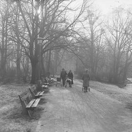 park zimową porą