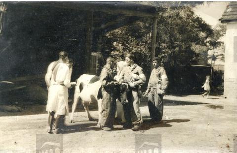 Original Digital object not accessible