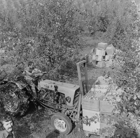Original Obiekt cyfrowy not accessible