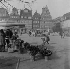 sprzedaż kwiatów na Placu Solnym